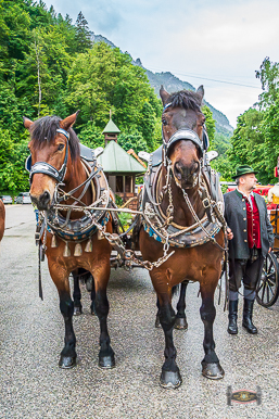 2025 05 25 festsonntag 127
